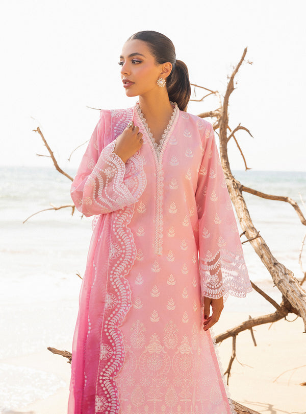 Zainab chottani | Luxury Chikankari 24 | AMYRA - 8B - Pakistani Clothes for women, in United Kingdom and United States