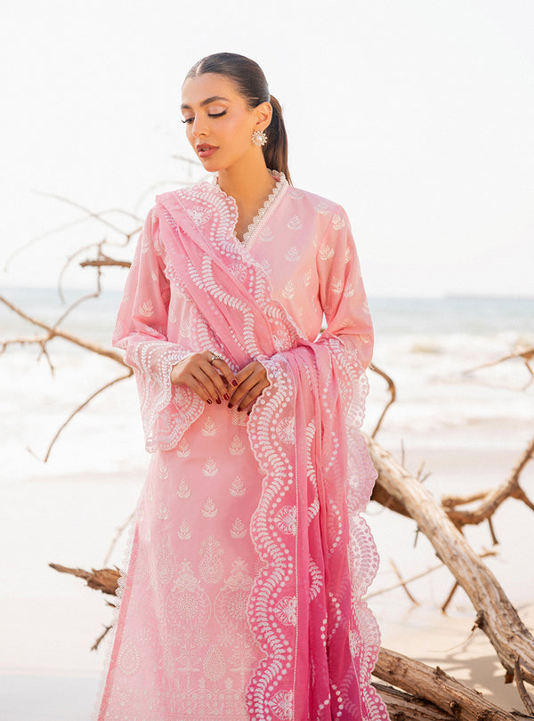 Zainab chottani | Luxury Chikankari 24 | AMYRA - 8B - Pakistani Clothes for women, in United Kingdom and United States