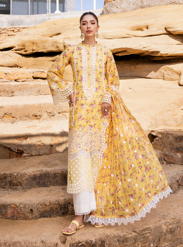 Zainab chottani | Luxury Chikankari 24 | ESME - 9B - Hoorain Designer Wear - Pakistani Ladies Branded Stitched Clothes in United Kingdom, United states, CA and Australia