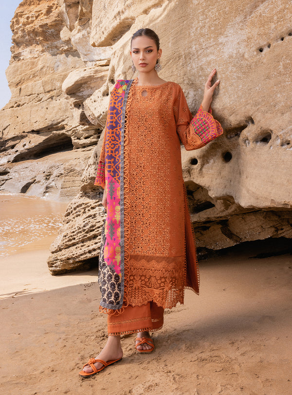 Zainab chottani | Luxury Chikankari 24 | NAYSA - 4A - Hoorain Designer Wear - Pakistani Ladies Branded Stitched Clothes in United Kingdom, United states, CA and Australia