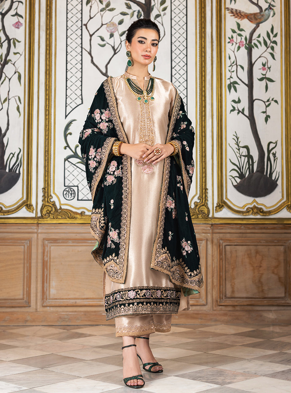 Zainab Chottani | Velvet Formals 24 | Sarwana