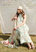 Zarqash | Luxe Lawn 24 | ZQ 8 - Pakistani Clothes for women, in United Kingdom and United States