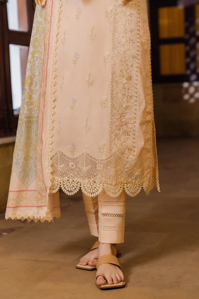 Aabyaan | Shezlin Chikankari 24 | INESSA (AS - 04) - Pakistani Clothes - Hoorain Designer Wear