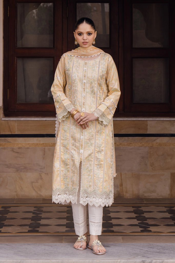 Aabyaan | Shezlin Chikankari 24 | REEMA (AS - 07) - Pakistani Clothes - Hoorain Designer Wear