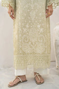 Aabyaan | Shezlin Chikankari 24 | ROHA - Pakistani Clothes - Hoorain Designer Wear