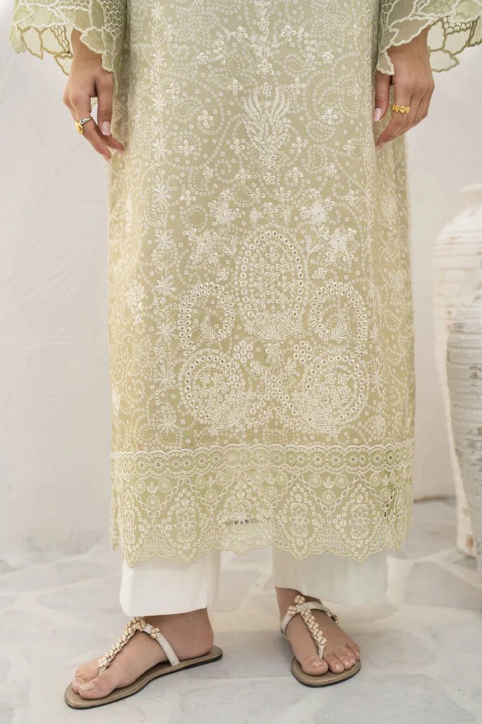 Aabyaan | Shezlin Chikankari 24 | ROHA - Pakistani Clothes - Hoorain Designer Wear