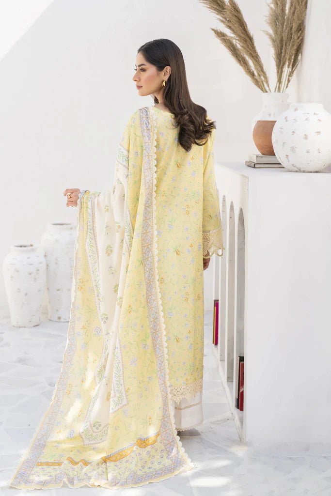 Aabyaan | Shezlin Chikankari 24 | SOHA - Pakistani Clothes - Hoorain Designer Wear