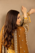 Adans Libas | Adans Chiffon 24 | 6204 - Pakistani Clothes - Hoorain Designer Wear