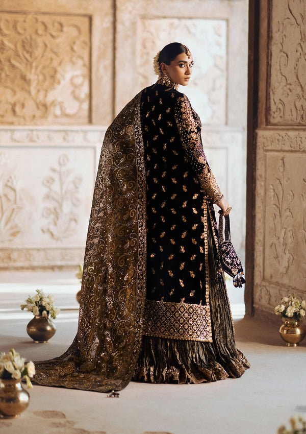 Aik Atelier | Dastoor Velvet 24 | Dastoor