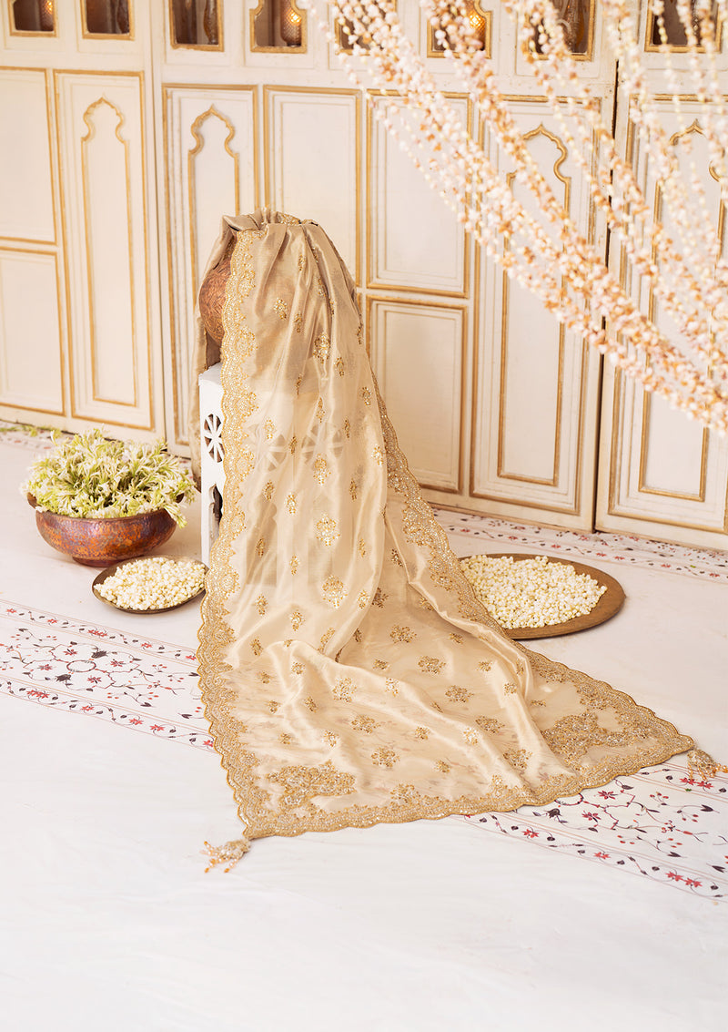 Aik Atelier | LIGHT GOLD TISSUE SHAWL