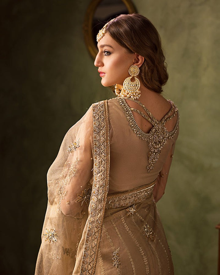 Ain | Aroosh Luxury Formals 24 | AR - 82 NAZNEEN (Gold) - Pakistani Clothes - Hoorain Designer Wear