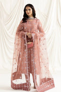 Alizeh | Dua Formals 23 | DUA - V02D04B - NAZIK(PINK) - Pakistani Clothes - Hoorain Designer Wear