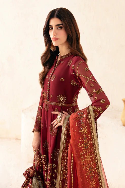 Alizeh | Heer Festive Collection 24 | AWEEN - V17D06 - Pakistani Clothes - Hoorain Designer Wear