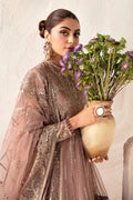 Alizeh | Heer Festive Collection 24 | SAMARA - V17D04 - Pakistani Clothes - Hoorain Designer Wear