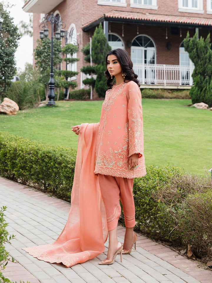 Amroz Atelier | Aerien Formals | Aria - Pakistani Clothes - Hoorain Designer Wear