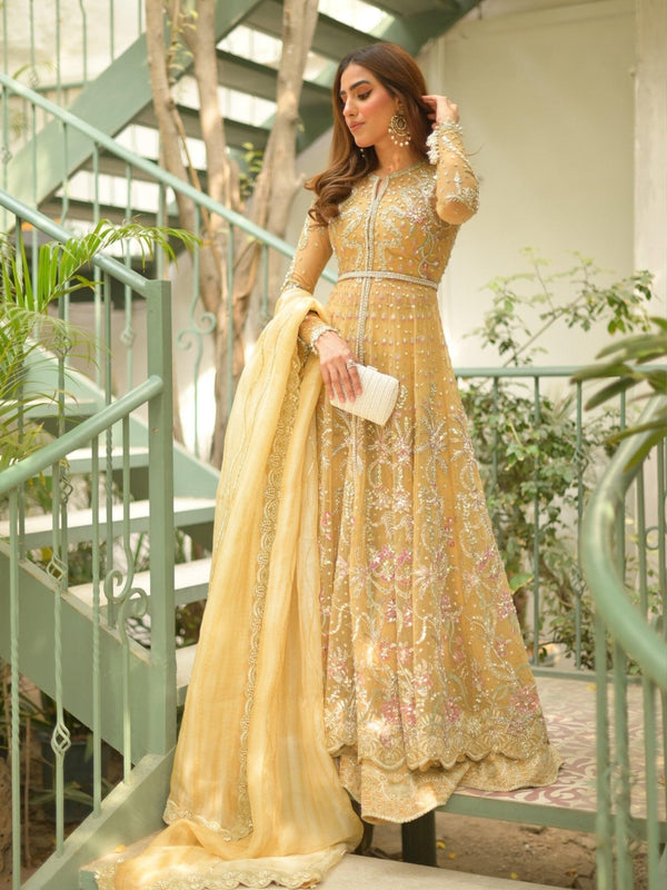 Amroz Atelier | Eunoia Wedding Formals | AA - LUX - 08 - Pakistani Clothes - Hoorain Designer Wear