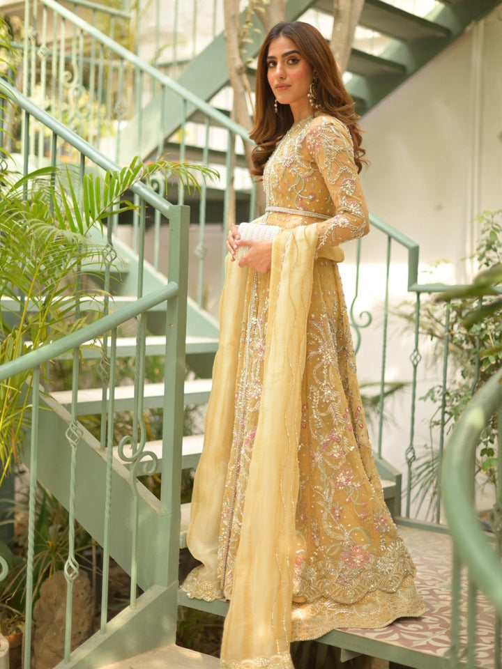 Amroz Atelier | Eunoia Wedding Formals | AA - LUX - 08 - Pakistani Clothes - Hoorain Designer Wear