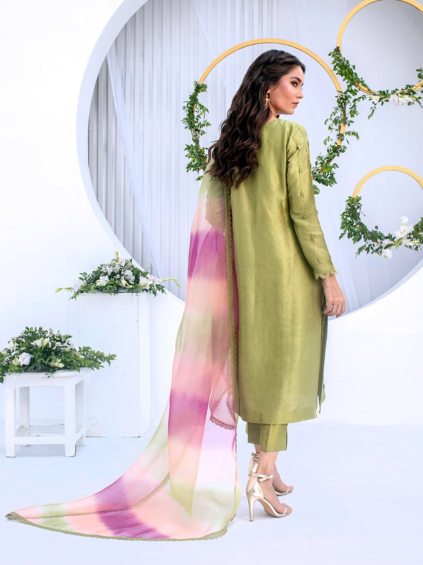 Anam Akhlaq | Festive Collection | D - 04 - Pakistani Clothes - Hoorain Designer Wear