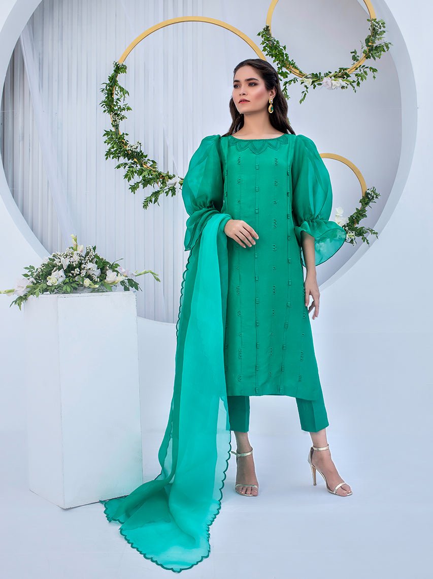 Anam Akhlaq | Festive Collection | D - 05 - Pakistani Clothes - Hoorain Designer Wear