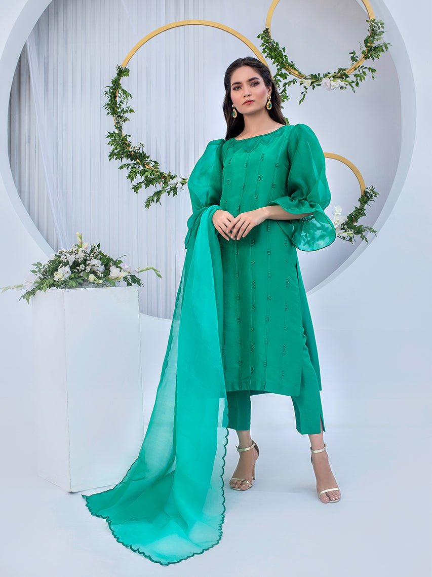 Anam Akhlaq | Festive Collection | D - 05 - Pakistani Clothes - Hoorain Designer Wear