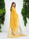 Anam Akhlaq | Festive Collection | D - 10 - Pakistani Clothes - Hoorain Designer Wear