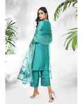 Anam Akhlaq | Festive Collection | D - 24 - Pakistani Clothes - Hoorain Designer Wear