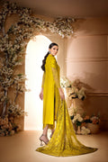 Anam Akhlaq | Festive Collection | D - 34 - Pakistani Clothes - Hoorain Designer Wear