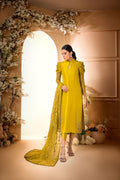 Anam Akhlaq | Festive Collection | D - 34 - Pakistani Clothes - Hoorain Designer Wear