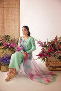 Anam Akhlaq | Festive Collection | D - 37 - Pakistani Clothes - Hoorain Designer Wear