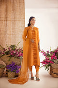 Anam Akhlaq | Festive Collection | D - 39 - Pakistani Clothes - Hoorain Designer Wear