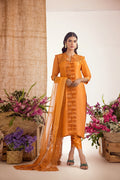 Anam Akhlaq | Festive Collection | D - 39 - Pakistani Clothes - Hoorain Designer Wear