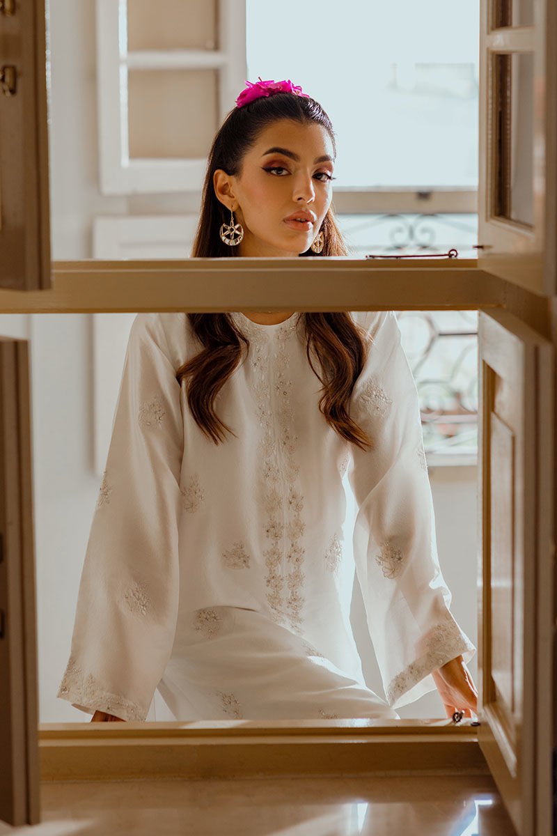 Ansab Jahangir | Luxe Pret Eid 24 | AYAT - Pakistani Clothes - Hoorain Designer Wear