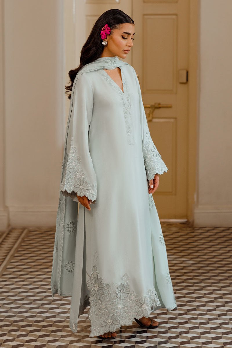 Ansab Jahangir | Luxe Pret Eid 24 | DAANAYA - Pakistani Clothes - Hoorain Designer Wear