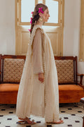 Ansab Jahangir | Luxe Pret Eid 24 | VEZNA - Pakistani Clothes for women, in United Kingdom and United States