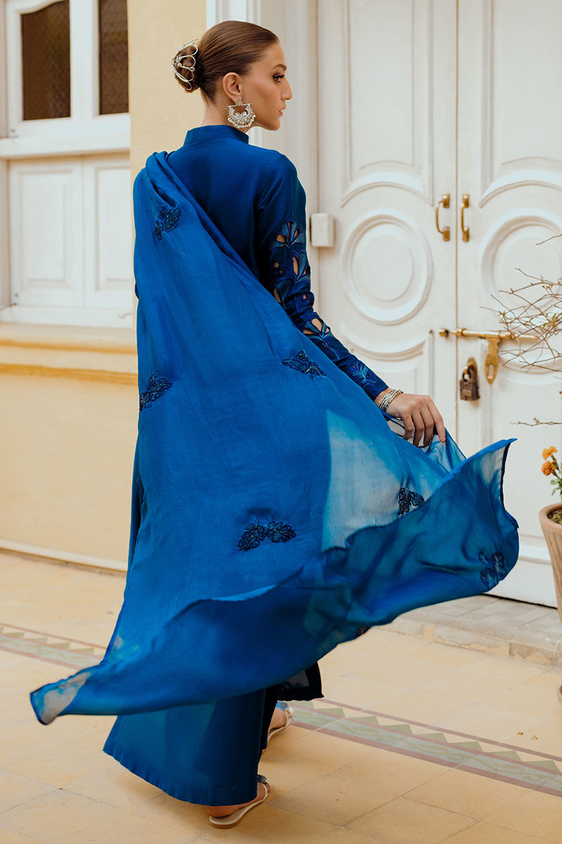 Ansab Jahangir | Luxe Pret Eid 24 | INARA - Pakistani Clothes for women, in United Kingdom and United States