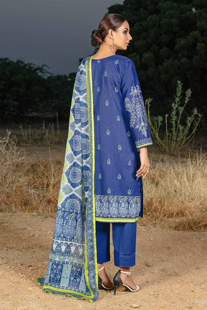 Gul Ahmed | Winter Collection 24 | Cotton Net Dupatta CD-32009