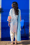 Sana Safinaz | Mahay Spring 24 | H241-028B-2BG - Pakistani Clothes for women, in United Kingdom and United States