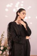 Hana | Sunshine Sartorial | Onyx - Pakistani Clothes for women, in United Kingdom and United States