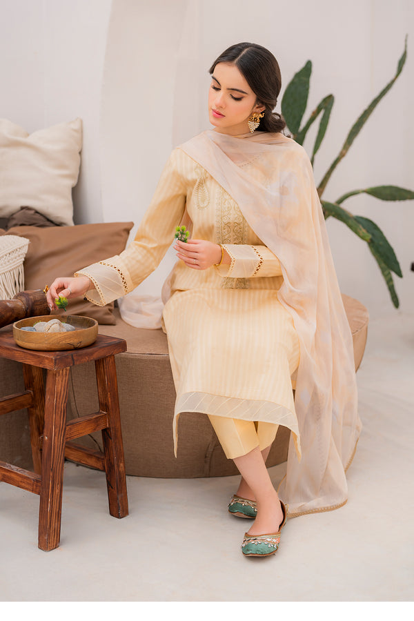 Hana | Zuri Zephyr | Ecru - Pakistani Clothes for women, in United Kingdom and United States