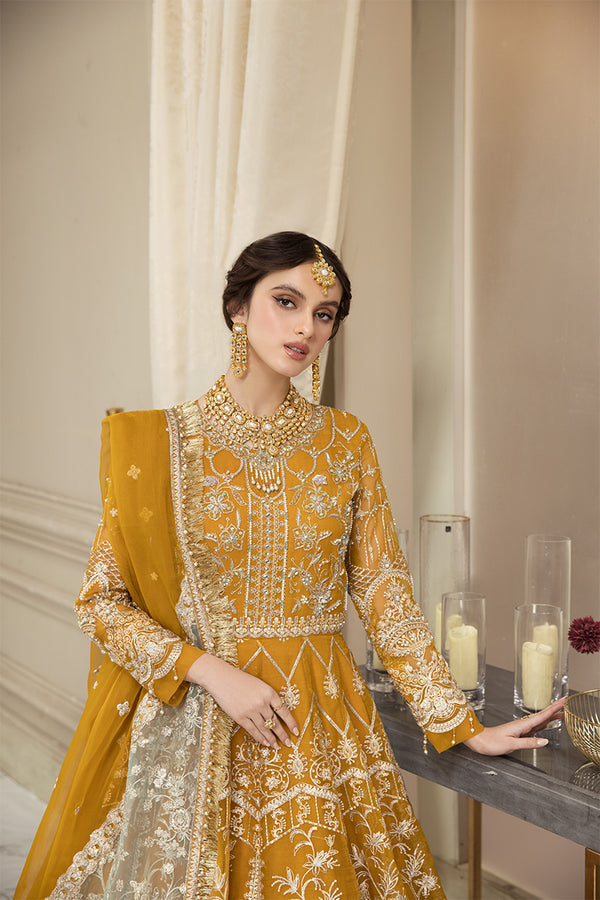 House of Nawab | Luxury Formals | HAZWA B - Pakistani Clothes for women, in United Kingdom and United States