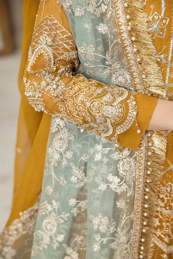 House of Nawab | Luxury Formals | HAZWA B - Pakistani Clothes for women, in United Kingdom and United States