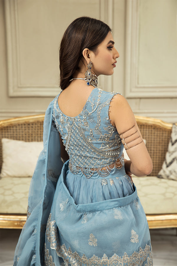 House of Nawab | Luxury Formals | SHIFA B - Pakistani Clothes for women, in United Kingdom and United States