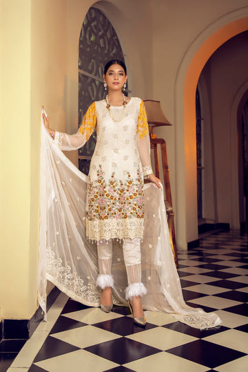 House of Nawab | Luxury Formals | HM-03 - Pakistani Clothes for women, in United Kingdom and United States