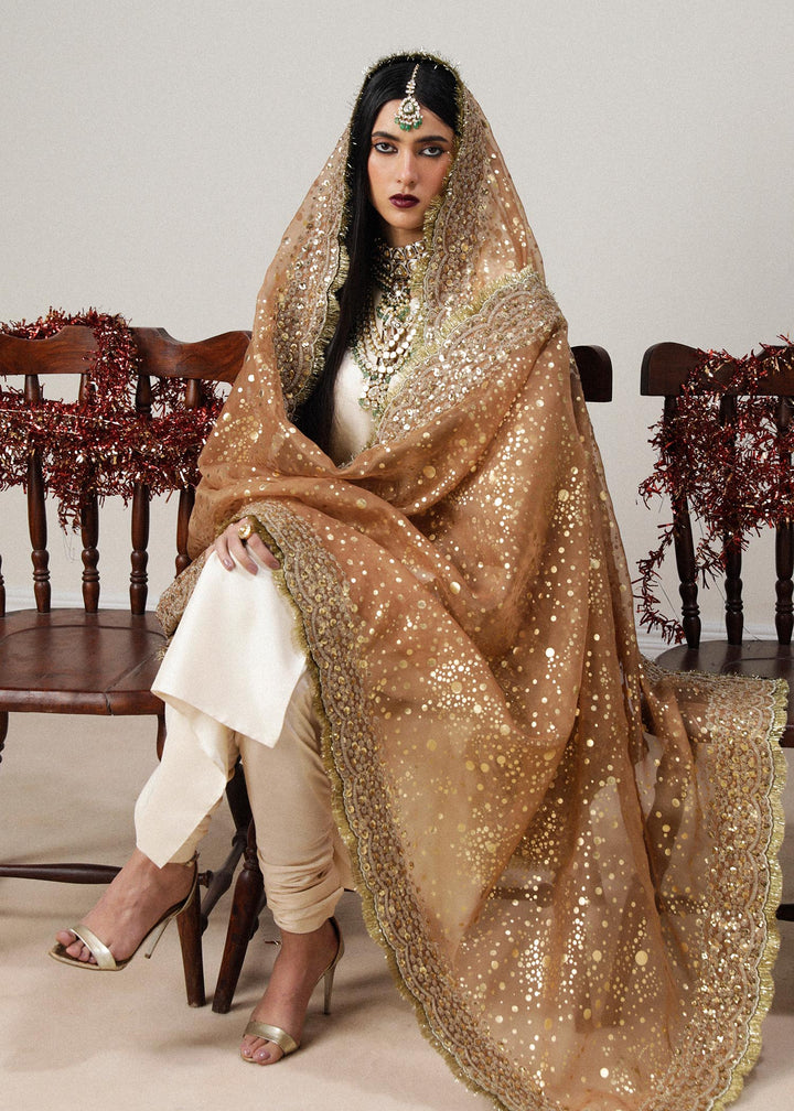 Hussain Rehar | Luxury Formals | Paara - Pakistani Clothes for women, in United Kingdom and United States