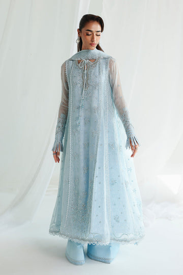 Qalamkar | Chiffon 26 | QCC-08 SONA