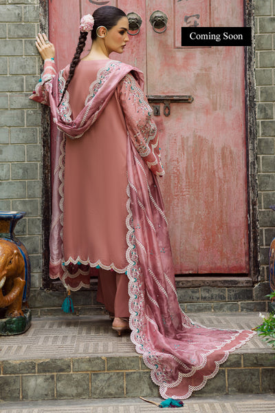 Marjjan | Lovella Winter 25 | MEV-47 A (PINK)