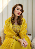 Mahum Asad | Forever and Ever Formals | Lyra - Pakistani Clothes for women, in United Kingdom and United States