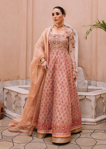 Jeem | Amaltaas Wedding Formals 26 | ORCHID PINK
