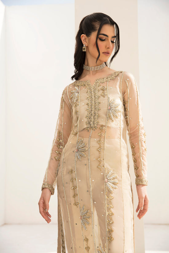 Raja Salahuddin | The Wishlist | FALLON - Hoorain Designer Wear - Pakistani Ladies Branded Stitched Clothes in United Kingdom, United states, CA and Australia