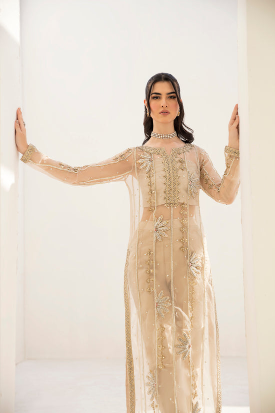 Raja Salahuddin | The Wishlist | FALLON - Hoorain Designer Wear - Pakistani Ladies Branded Stitched Clothes in United Kingdom, United states, CA and Australia